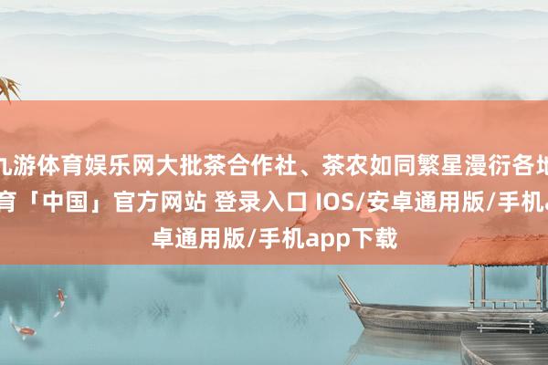 九游体育娱乐网大批茶合作社、茶农如同繁星漫衍各地-九游体育「中国」官方网站 登录入口 IOS/安卓通用版/手机app下载