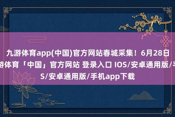 九游体育app(中国)官方网站春城采集！6月28日下昼2点-九游体育「中国」官方网站 登录入口 IOS/安卓通用版/手机app下载