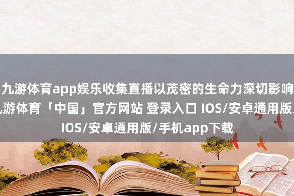 九游体育app娱乐收集直播以茂密的生命力深切影响着经济社会-九游体育「中国」官方网站 登录入口 IOS/安卓通用版/手机app下载