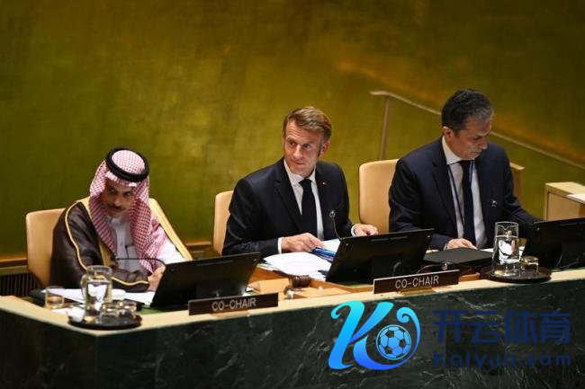 西方阵营在巴勒斯坦上出现紧要不对